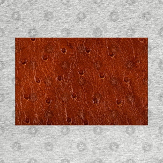 Leather texture background by homydesign